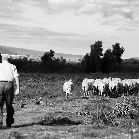 Binzas Betzas Agriturismo Sedilo ภายนอก รูปภาพ