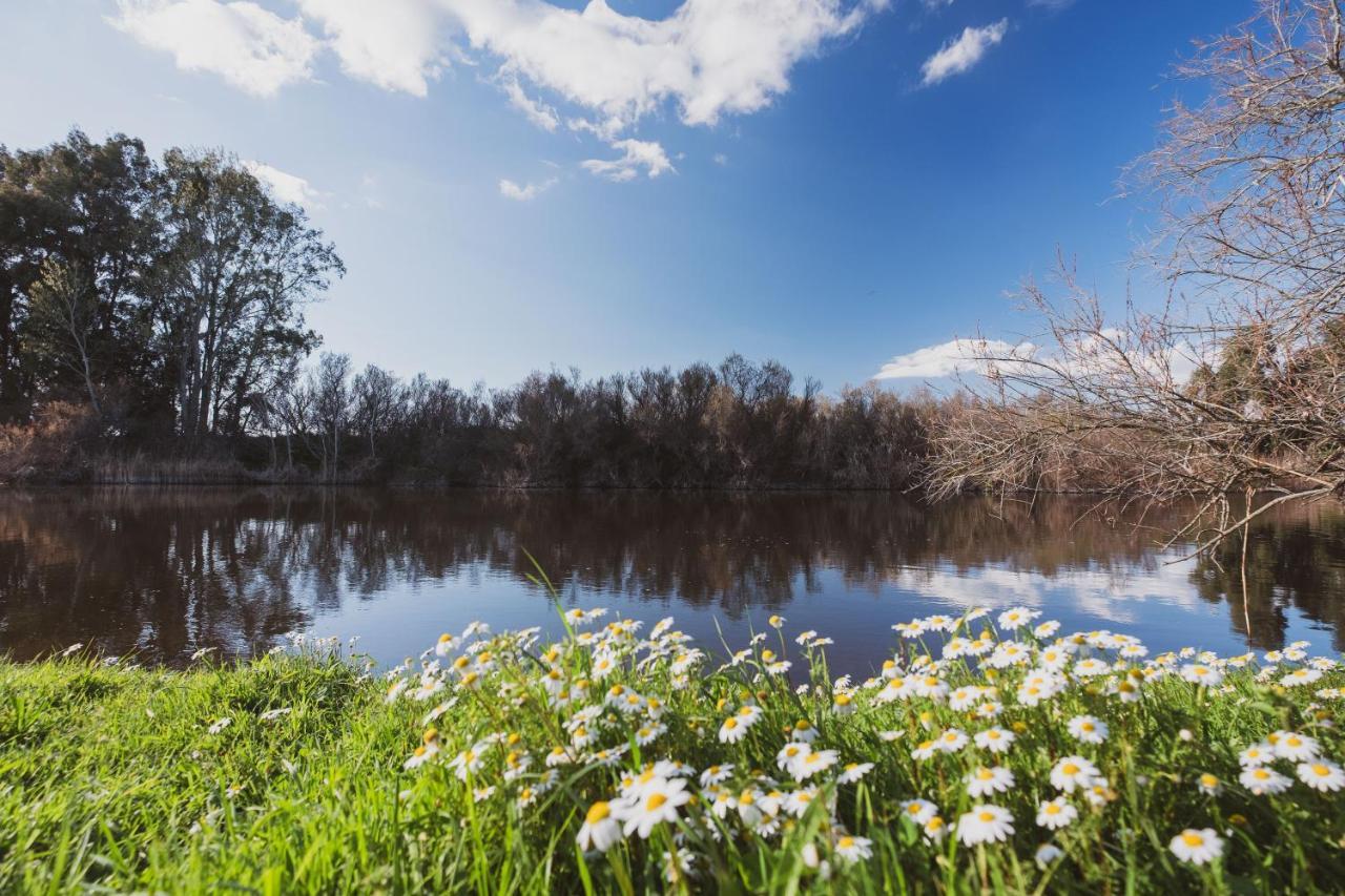 Binzas Betzas Agriturismo Sedilo ภายนอก รูปภาพ