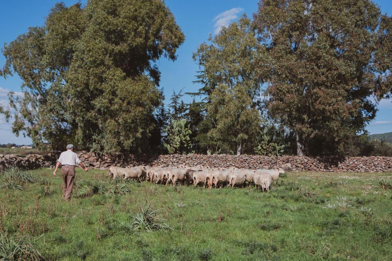 Binzas Betzas Agriturismo Sedilo ภายนอก รูปภาพ