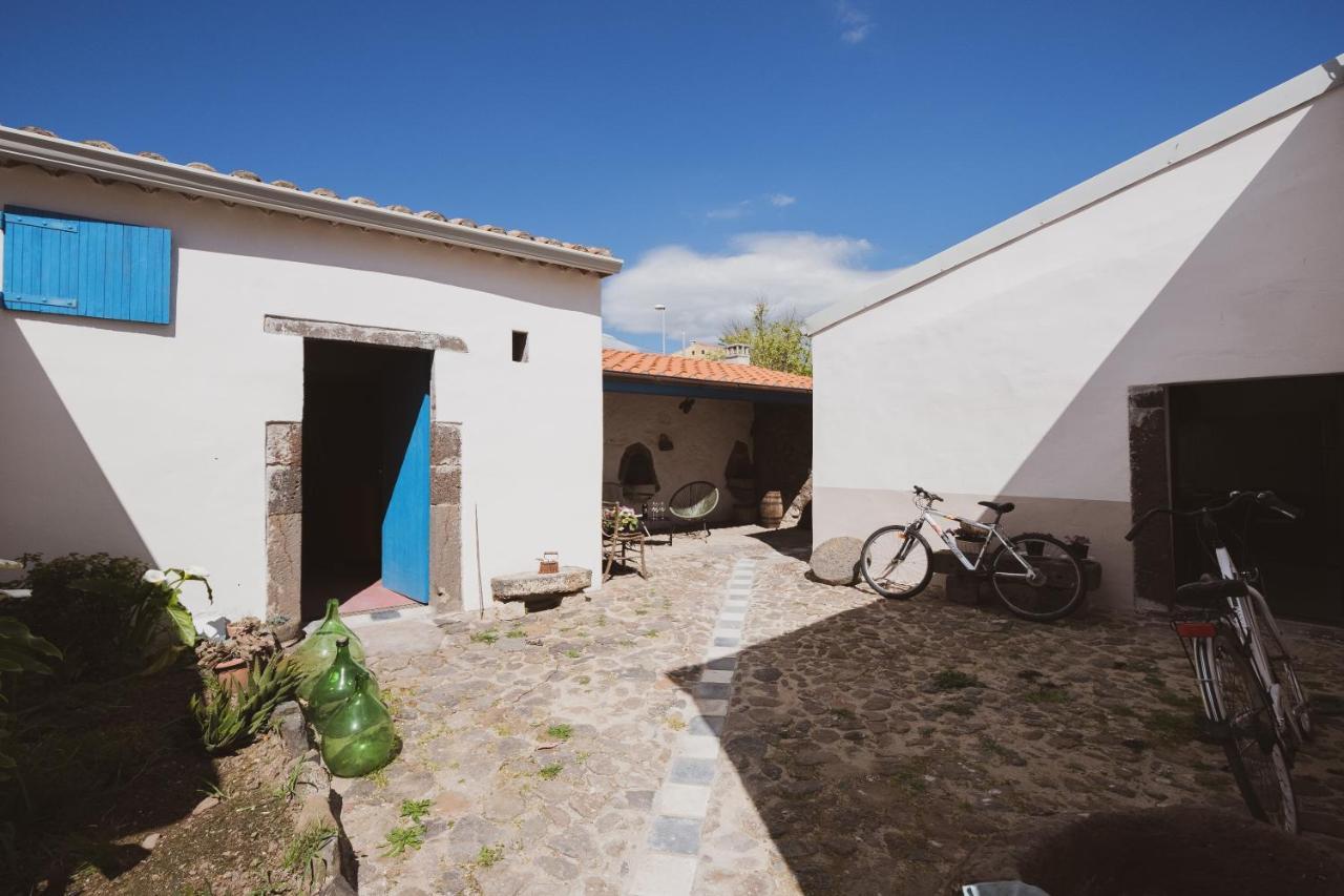 Binzas Betzas Agriturismo Sedilo ภายนอก รูปภาพ
